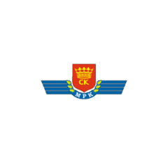 Elżbieta Śreniawska, Prezes Zarządu